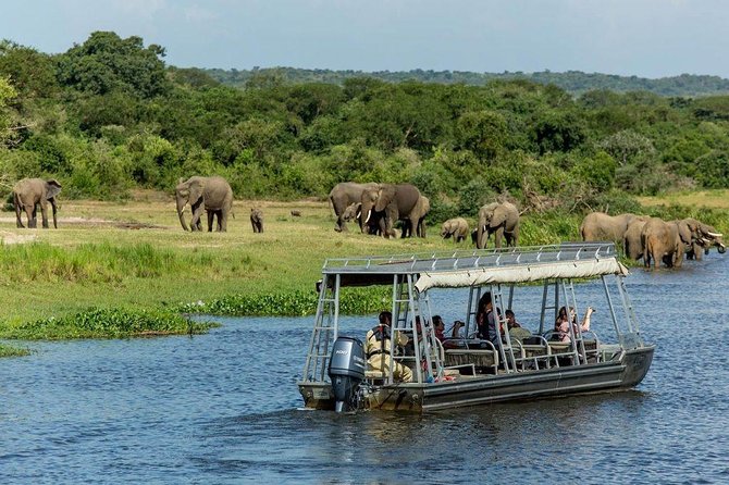 3-Day Wildlife Safari in Queen Elizabeth National Park - Optional Excursions Information