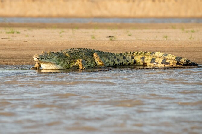 3 Day Wildlife Safari Tour From Zanzibar to Selous - Good To Know