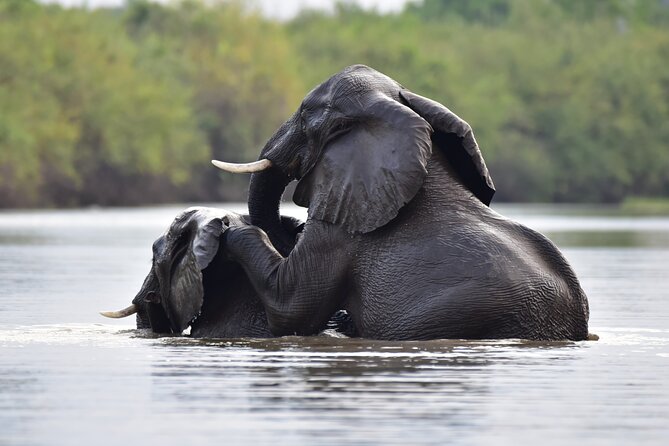 3 Day Wildlife Safari Tour From Zanzibar to Selous - Essential Booking Information