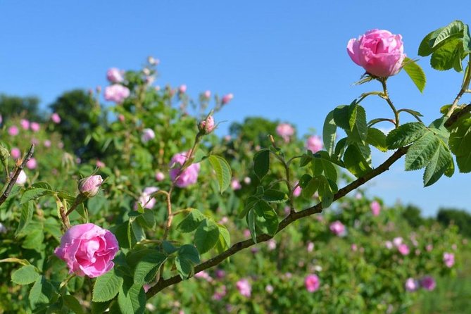 3 Days 2 Nighs Tour From Marrakech to Merzouga Desert - Itinerary Overview