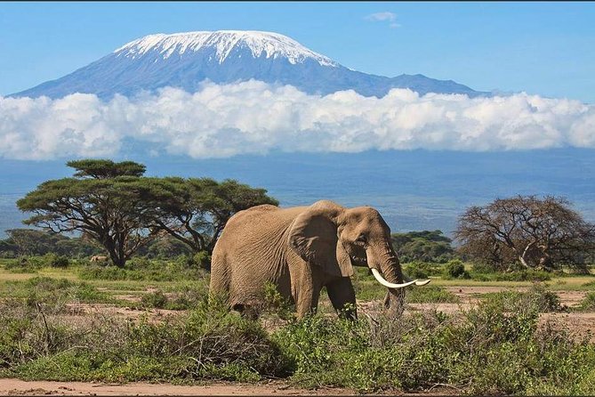 3-Days 2 Night Amazing Amboseli Experience. - Frequently Asked Questions
