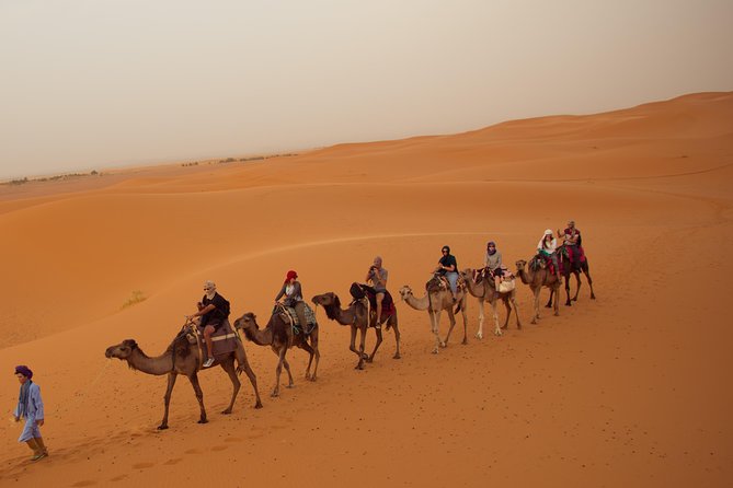 3 Days 2 Nights Adventure From Marrakech to Fez via Desert - Traveler Photos