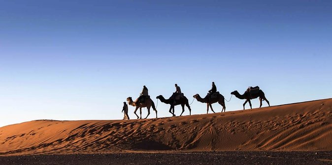 3 Days 2 Nights Adventure From Marrakech to Fez via Desert - Reviews