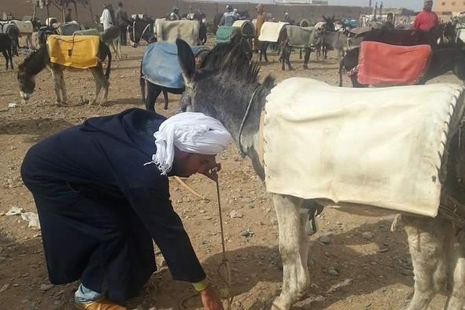 3 Days 2 Nights Adventure From Marrakech to Fez via Desert - Questions?