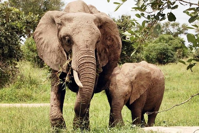 3 Days 2 Nights Adventures At Mikumi National Park - Cancellation Policy Information