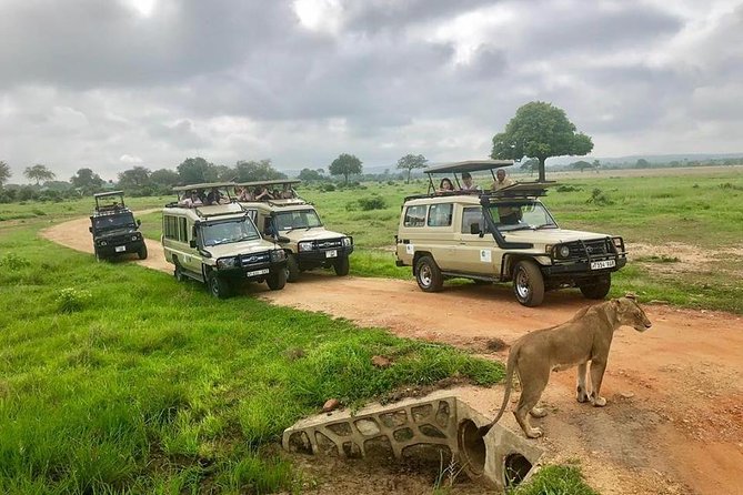 3 Days 2 Nights Adventures At Mikumi National Park - Customer Reviews and Ratings