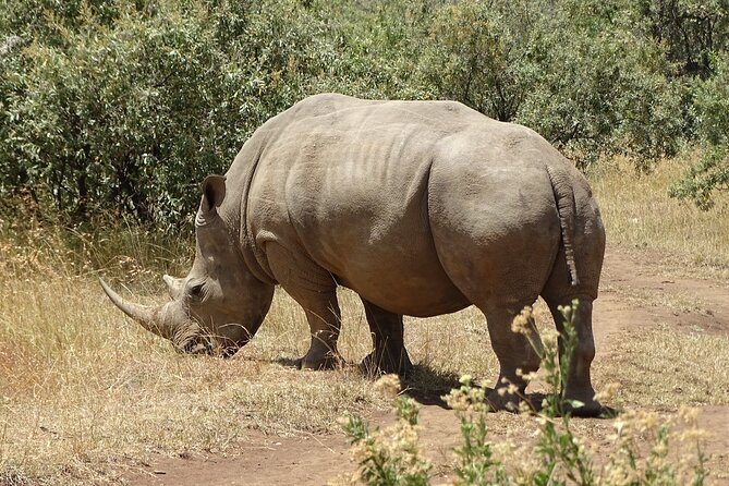 3 Days 2 Nights Budget Masai Mara Safari - Booking and Cancellation Policy