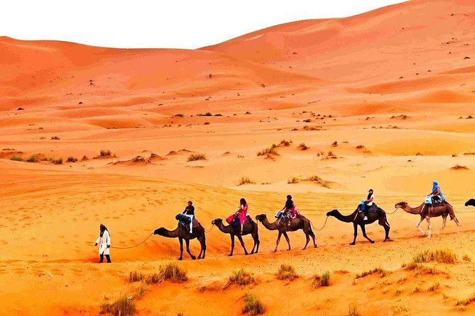 3 Days 2 Nights Desert Tour From and Back to Marrakech - Reviews and Ratings