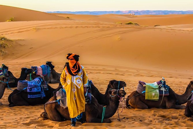 3 Days 2 Nights Desert Tour From and Back to Marrakech - Accommodation and Campsite