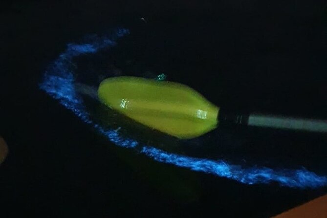 3 Days 2 Nights Discover Majetstic of Lan Ha Bay and Ha Long Bay - Day 2: Cruising and Water Activities