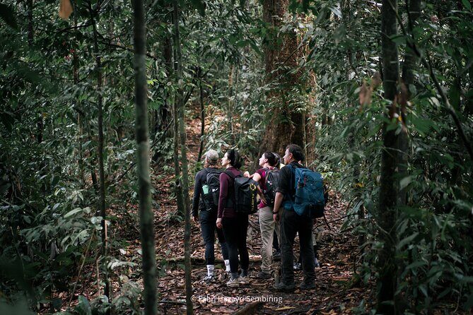 3 Days 2 Nights Ethical Jungle Trekking - Why This Tour Stands Out