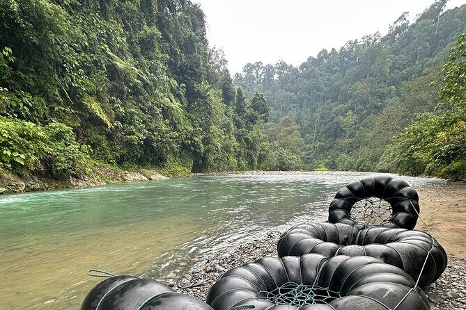 3 Days 2 Nights Ethical Jungle Trekking - What the Tour Entails: A Day-by-Day Breakdown