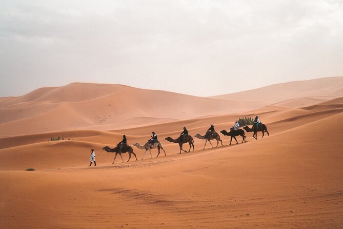 3 Days 2 Nights Excursion From Marrakech to Marzouga Desert - Transportation and Accommodation