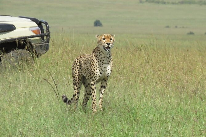 3 Days 2 Nights Group Joining Midrange Safari Tour in Masai Maraa - Pickup Details and Contact Information