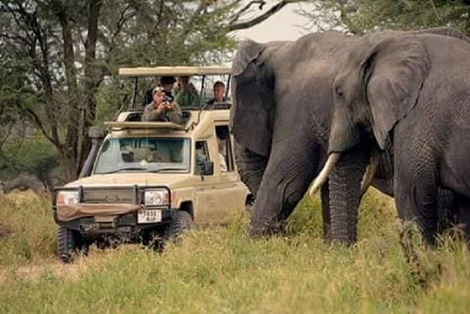 3 Days 2 Nights Lake Manyara National Park, Tarangire & Ngorongoro Crater - Inclusions and Exclusions