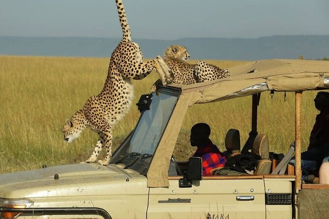 3 Days - 2 Nights Maasai Mara From Nairobi - Tour Itinerary