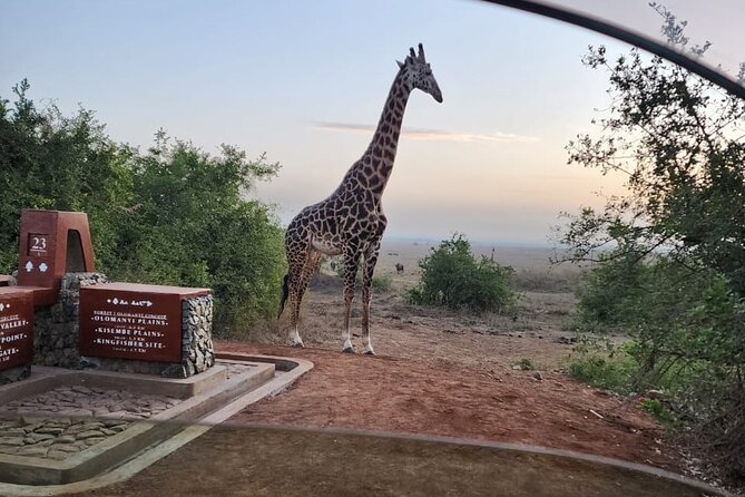 3 Days - 2 Nights Maasai Mara From Nairobi - Inclusions and Exclusions