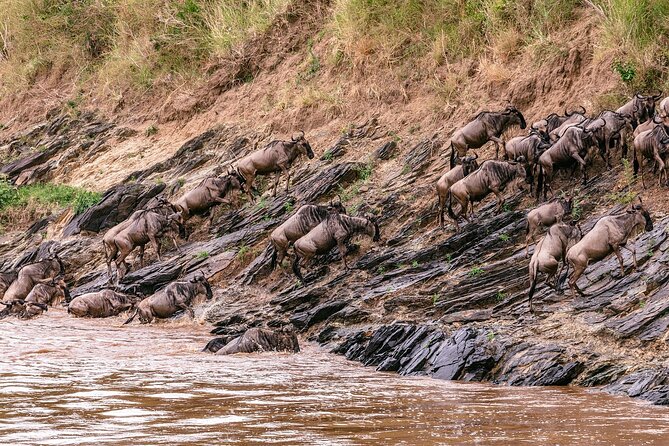 3 Days 2 Nights Maasai Mara Group Tour With 4x4 Jeep - Meals Included