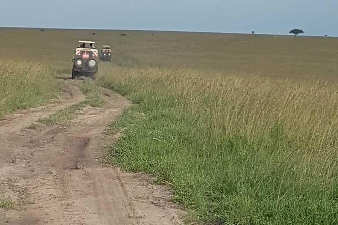 3 Days, 2 Nights Masai Mara Amazing Budget Safari - Transportation Information