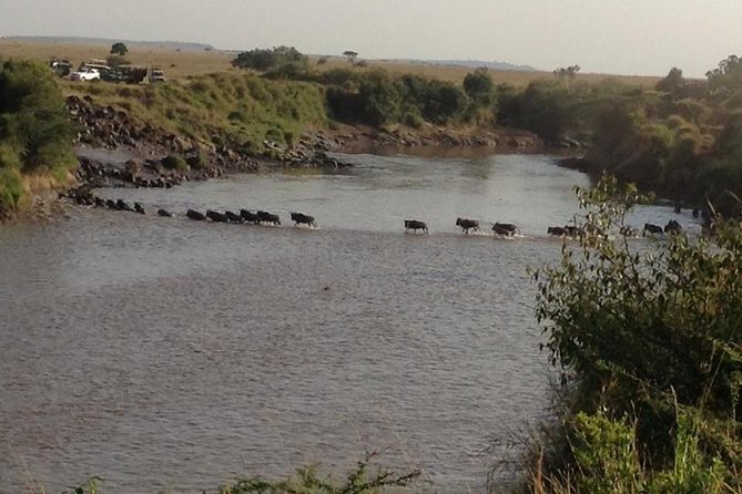 3 Days, 2 Nights Masai Mara Amazing Budget Safari - Booking Information