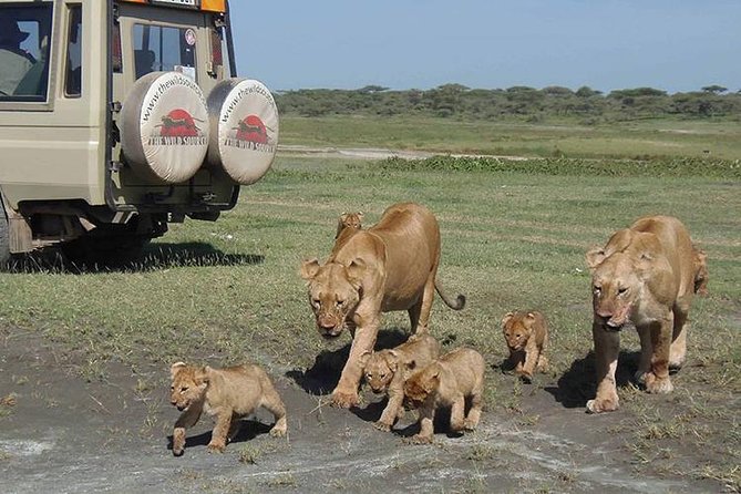 3 Days 2 Nights Masai Mara Budget Safari From Nairobi - Safari Itinerary Overview