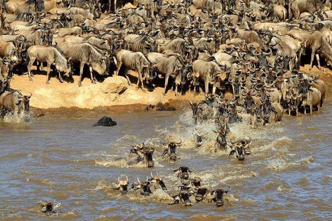 3 Days 2 Nights Masai Mara Budget Safari From Nairobi - Inclusions and Exclusions
