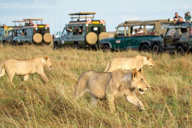 3 Days 2 Nights Masai Mara Joining Safari From Nairobi - Pickup Information and Accessibility