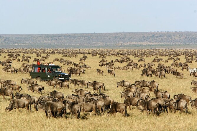 3 Days 2 Nights Masai Mara Joining Safari From Nairobi - Booking Operator and Price