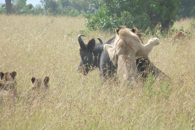 3 Days 2 Nights Masai Mara Mid-Range 4 X 4 Jeep Safari - Frequently Asked Questions