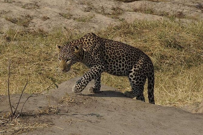 3 Days 2 Nights Mikumi National Park From Dar Es Salaam Road Trip - The Sum Up