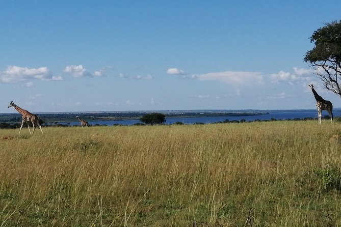 3 Days 2 Nights, Murchison Falls And Wildlife Safari - Good To Know