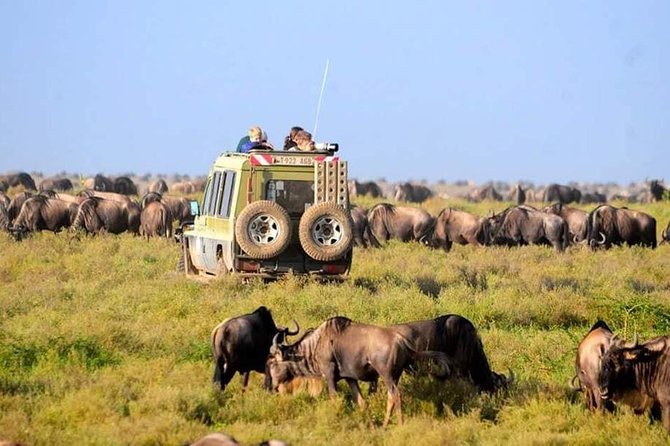 3 Days 2 Nights Ngorongoro, Manyara & Tarangire National Park Camping - Camping Details