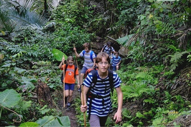 3 Days 2 Nights of Natural Wonder Explore Ba Be National Park. - Final Thoughts: Who Is This Tour Perfect For?