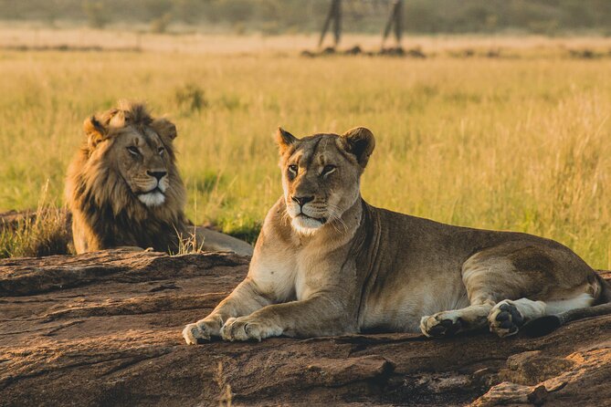 3 Days 2 Nights Safari Adventure in Nairobi - Pickup and Transportation