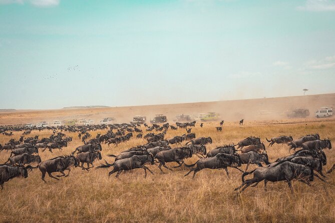 3 Days 2 Nights Safari Adventure in Nairobi - Inclusions and Exclusions