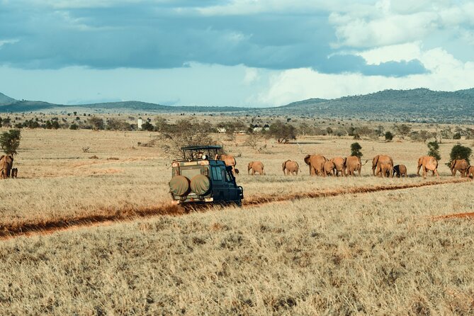 3 Days 2 Nights Safari Adventure in Nairobi - Booking Information