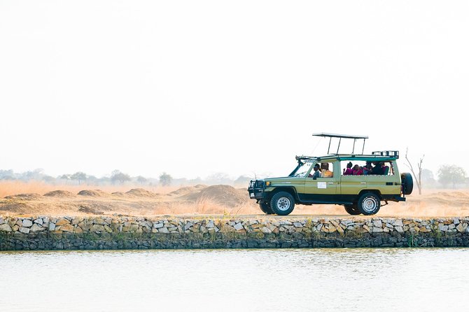 3 Days / 2 Nights Safari to Mikumi National Park - Good To Know