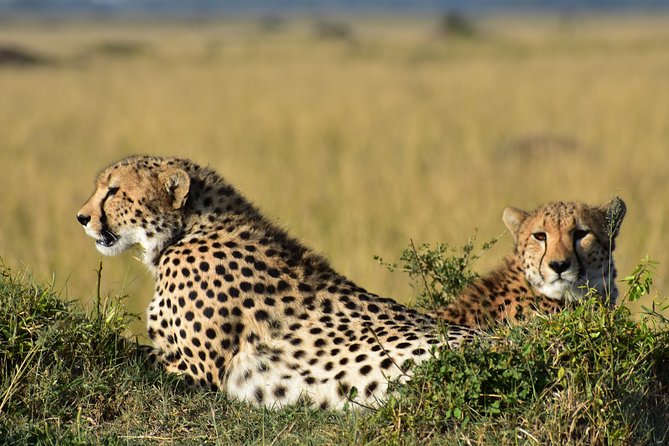 3-Days 2-nights Tanzania Private Budget Camping Safari - Accommodations and Facilities
