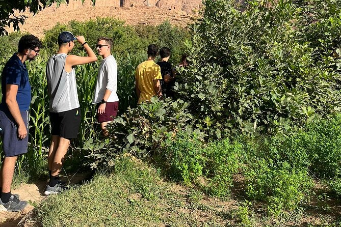 3 Days & 2 Nights to the Magical Desert & Camel Trek - Tips and Recommendations