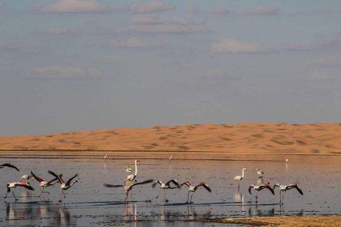 3 Days 2 Nights Tour From Marrakech to Marrakech via Merzouga Sahara Desert - Tour Inclusions