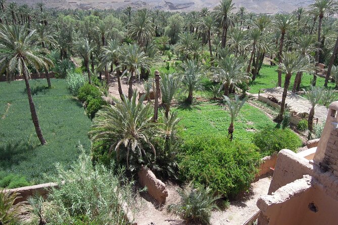 3 Days / 2 Nights Tour to the Sahara and Discovery of the Kasbahs - Private Tour - Dining Inclusions