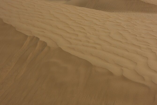 3 Days / 2 Nights Tour to the Sahara and Discovery of the Kasbahs - Private Tour - Booking Information