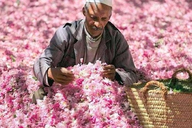 3 Days 2 Nights Trip From FEZ to MARRAKESH Passing by MERZOUGA - The Sum Up