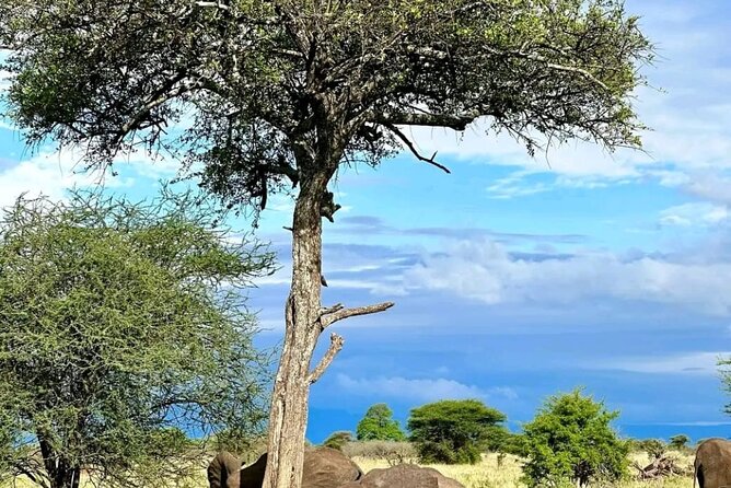 3 Days & 2 Nights Tsavo East & West National Park Safari Tour - What To Expect