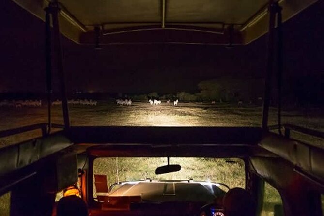 3 Days 2 Nights Tsavo West Ziwani Camp With Night Game Drive - Frequently Asked Questions