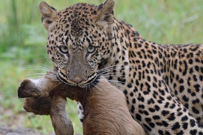 3 Days 2 Nights Wildebeest Migration on a Budget - Frequently Asked Questions