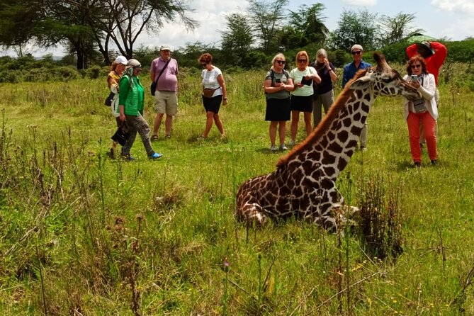 3 Days 8th Wonder of the World With Maasai Mara Great Tour - Pickup Information