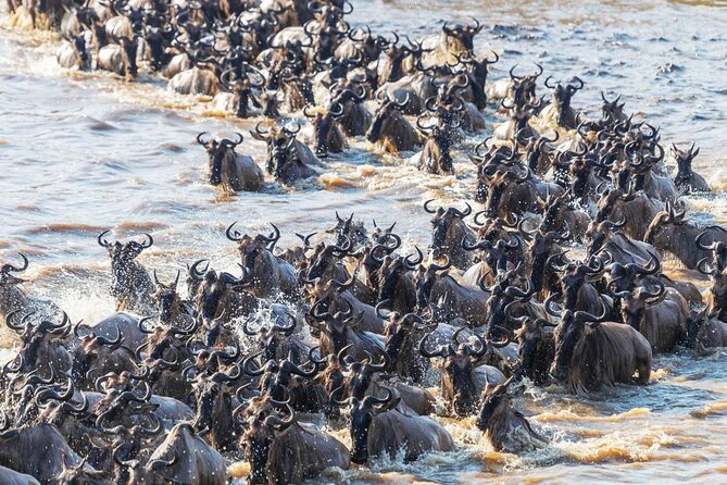 3 Days 8th Wonder of the World With Maasai Mara Great Tour - Cancellation Policy