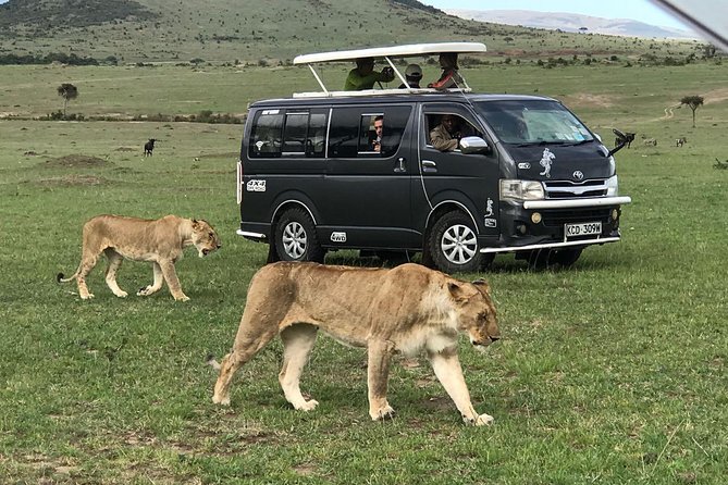 3 Days Adventurous Maasai Mara Budget Group Safari - Itinerary Highlights