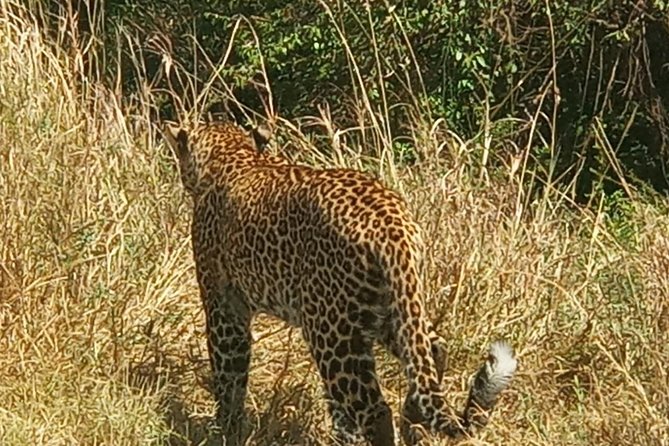 3 Days Adventurous Maasai Mara Budget Group Safari - Frequently Asked Questions